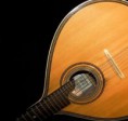 FADO